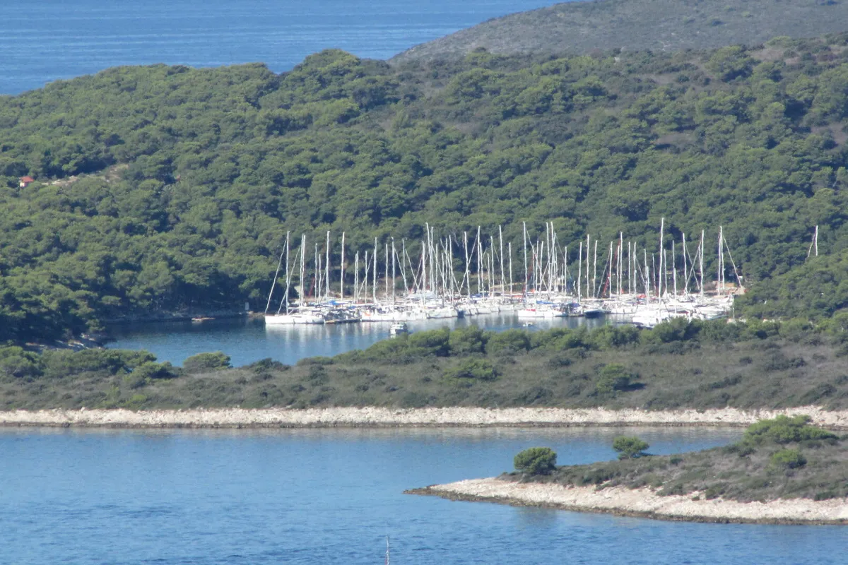 ACI Marina Palmižana from the hills above Hvar town: the yachts on its pontoons at the head of the cove on Sveti Klement, in pine woods, with low islets of the Pakleni channel in front