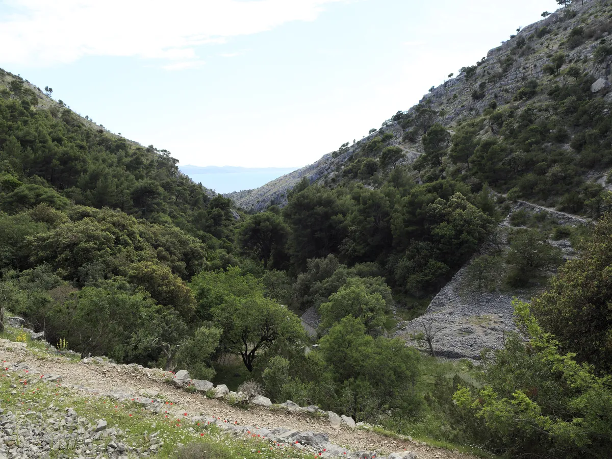 The green Blaca valley descending between steep limestone slopes toward a glimpse of the Adriatic Sea