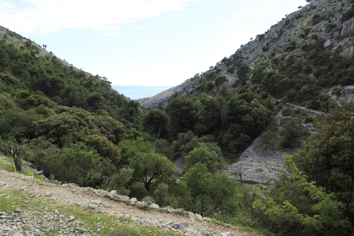 The green Blaca valley descending between steep limestone slopes toward a glimpse of the Adriatic Sea