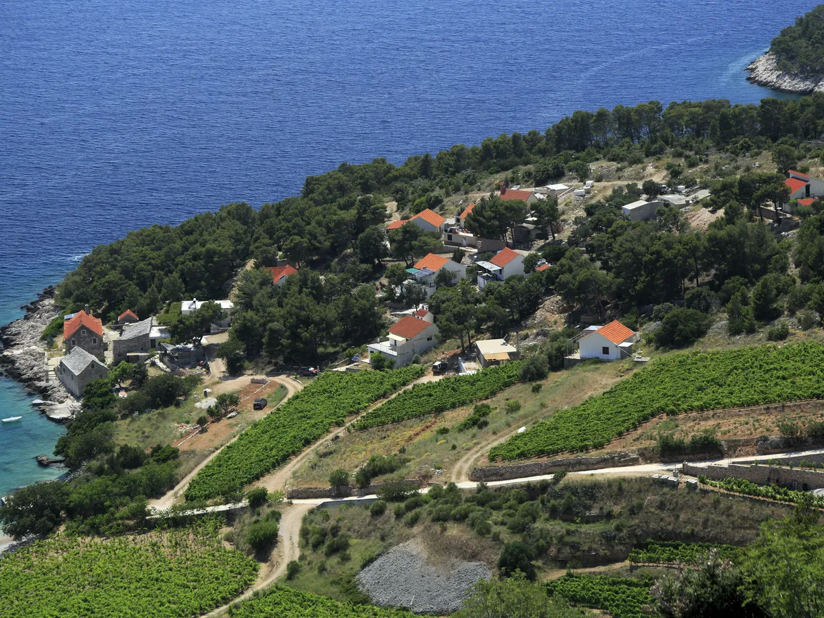 Farska on the south coast of Brač seen from above, with stone houses among vines and pines beside the blue Adriatic