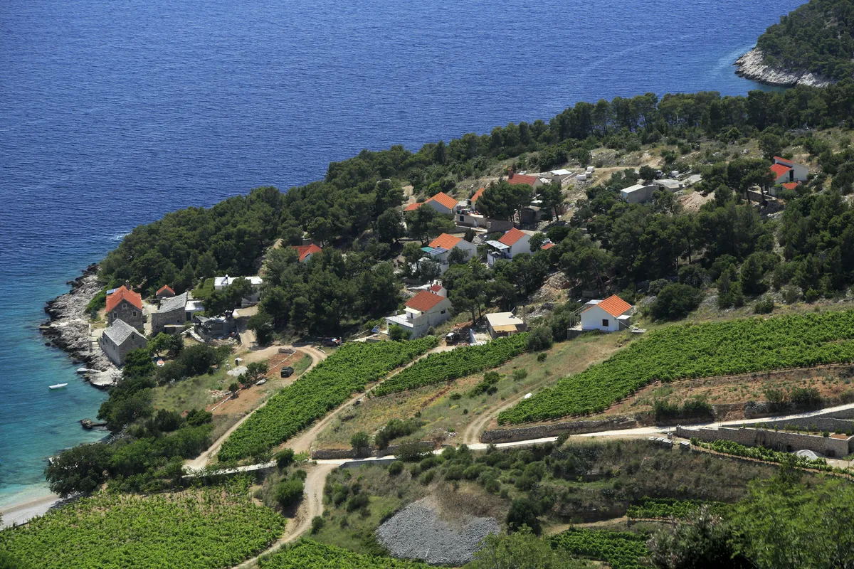 Farska on the south coast of Brač seen from above, with stone houses among vines and pines beside the blue Adriatic