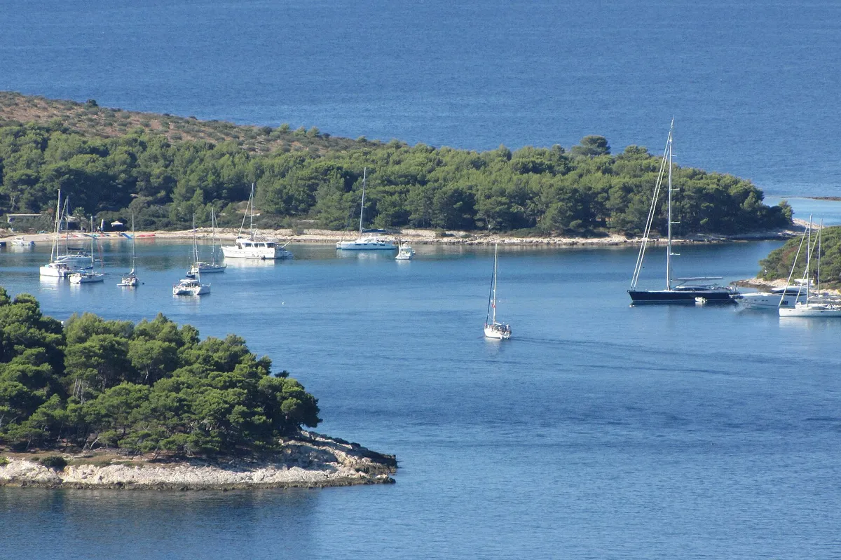 Sailing yachts anchored in a pine-fringed bay in the Pakleni islands, telephoto from the hills
