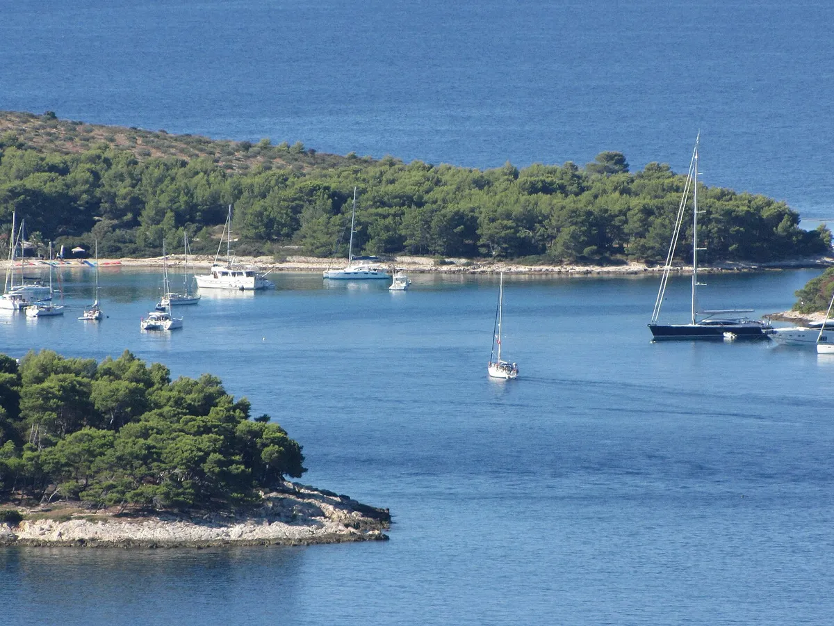 Sailing yachts anchored in a pine-fringed bay in the Pakleni islands, telephoto from the hills