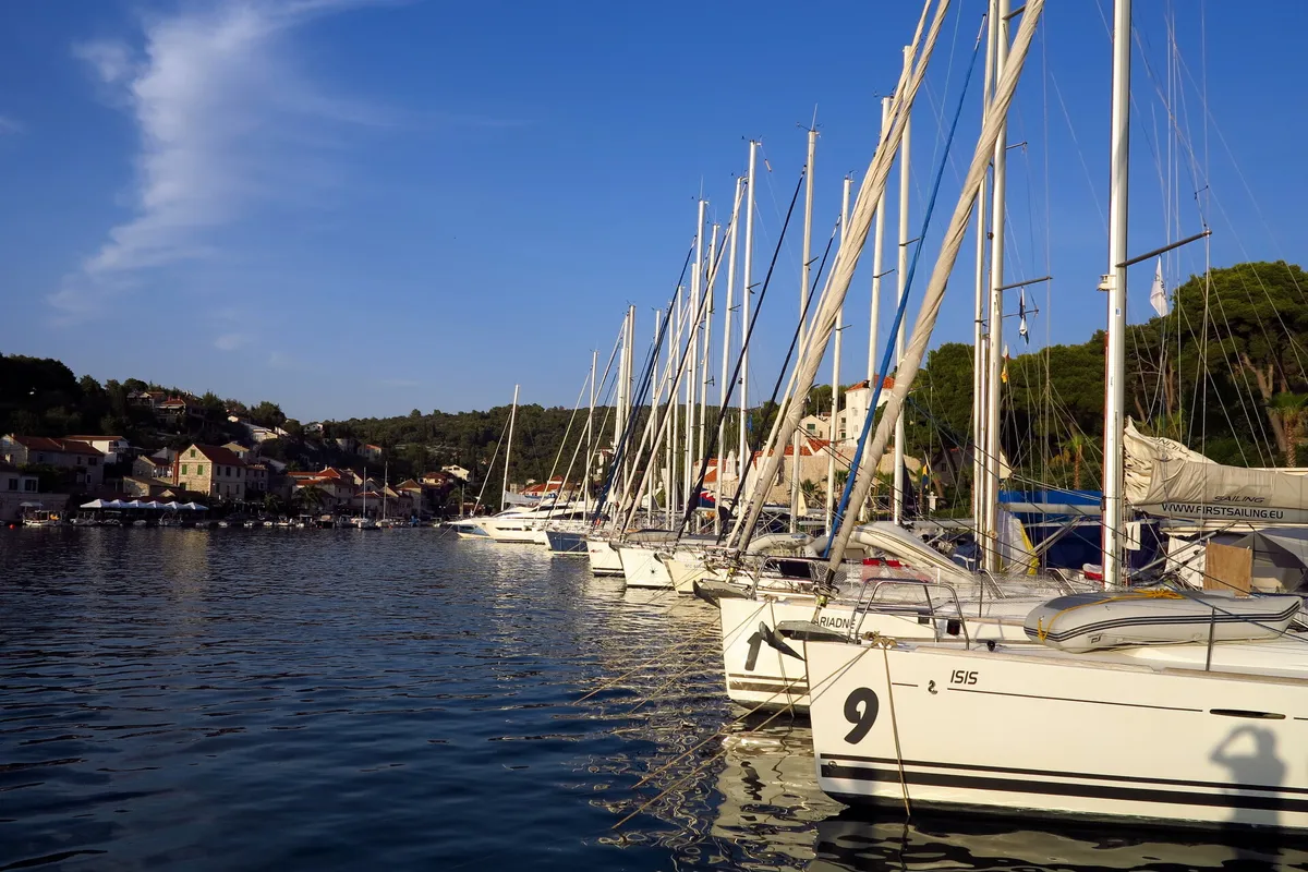 Sailing yachts moored stern-to in a long row along the marina quay in Maslinica, Šolta, seen from the water, with the village and pine woods behind
