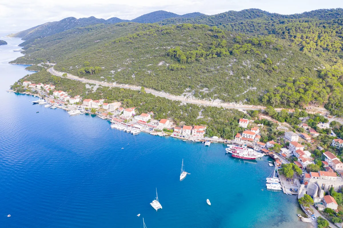 Polače on Mljet from the air, with yachts moored along the quay below the pine-covered hill, and sailing yachts and a catamaran at anchor in the bay