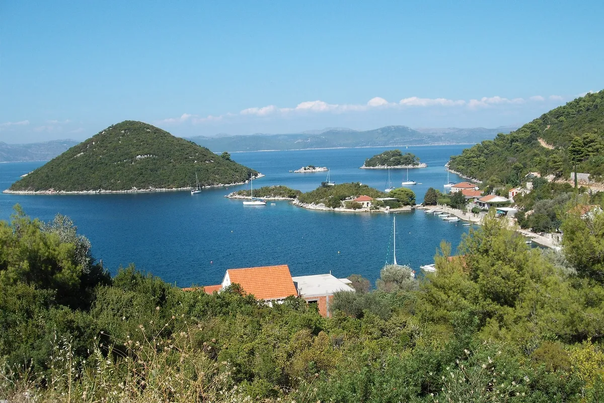 Prožurska Luka on Mljet from the hillside, with yachts on buoys in the bay, the village on its point and Planjak islet beyond