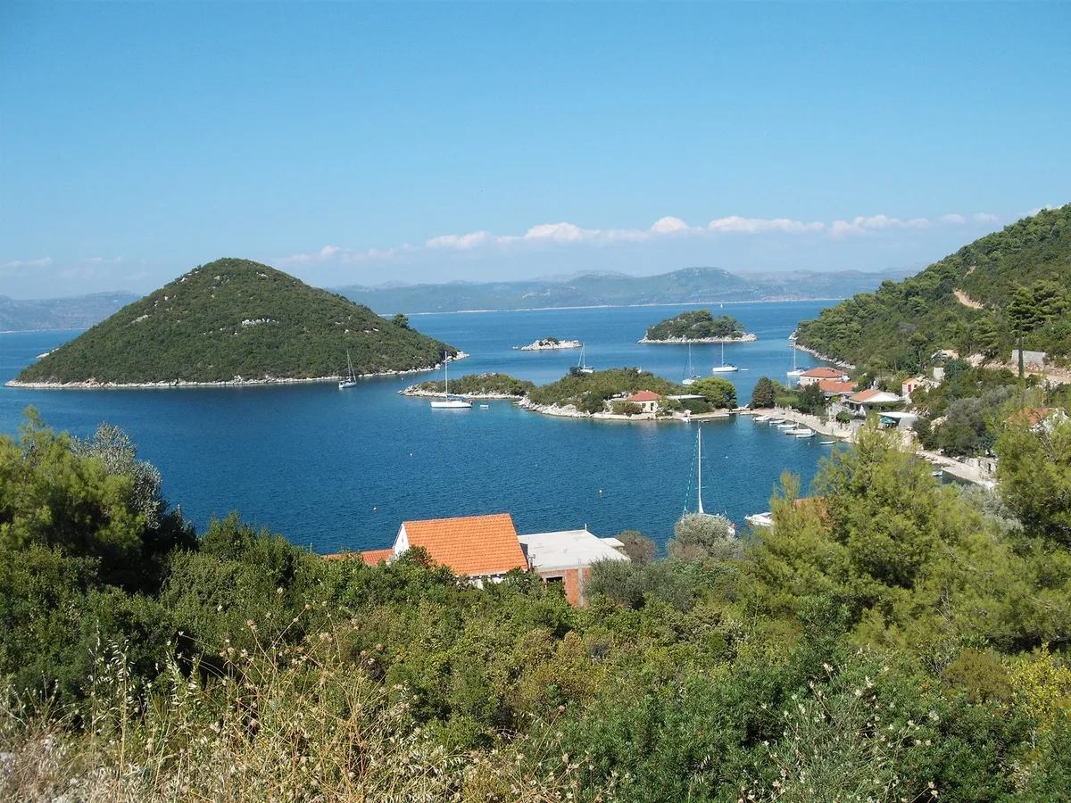 Prožurska Luka on Mljet from the hillside, with yachts on buoys in the bay, the village on its point and Planjak islet beyond