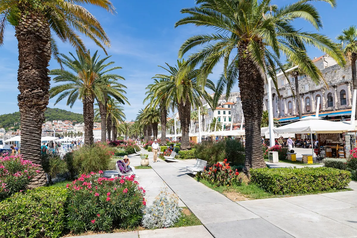 The palm-lined Riva promenade in Split with flower beds and cafes