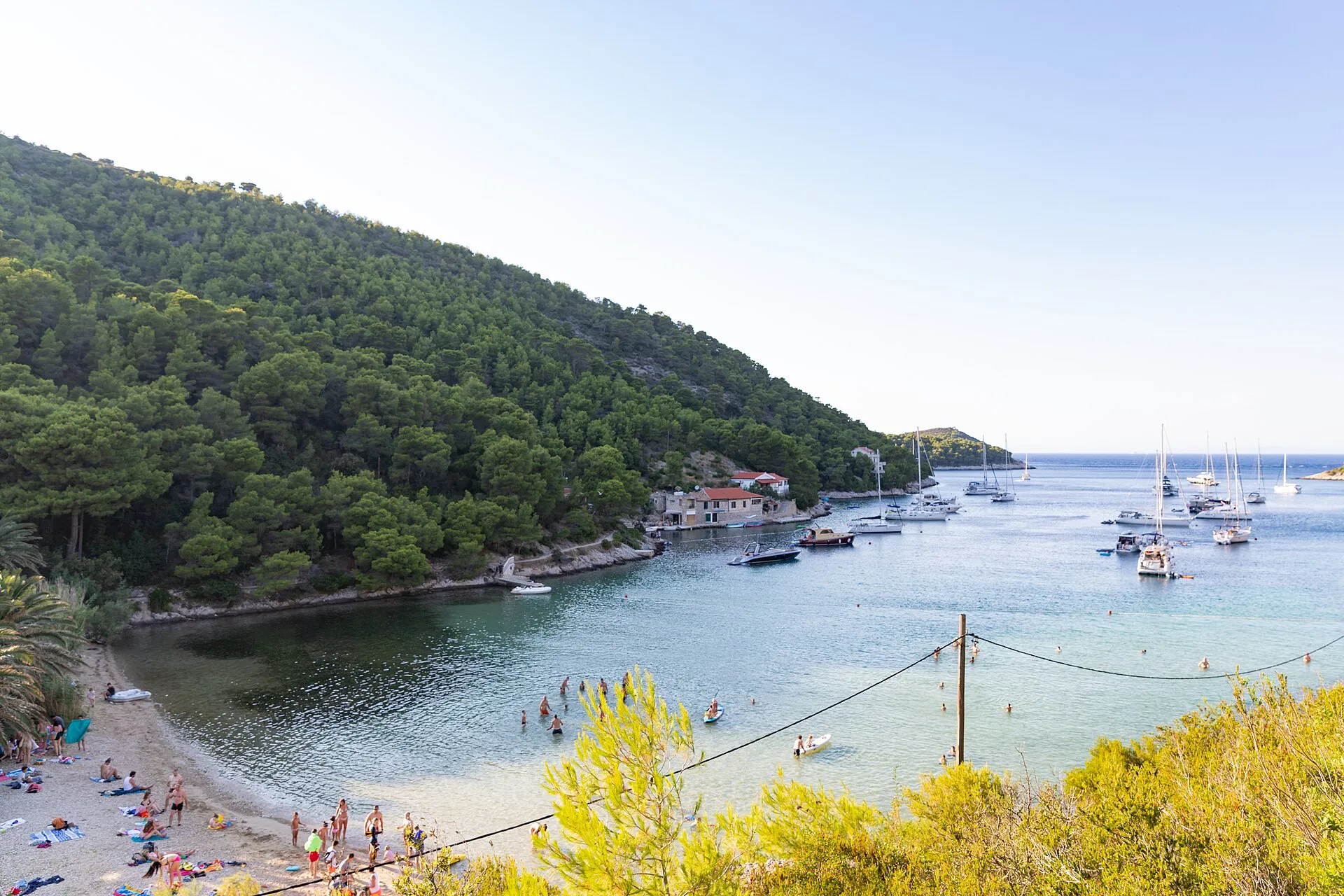 Yachts on mooring buoys in Stončica bay, with the beach and pine slope, seen from the hillside