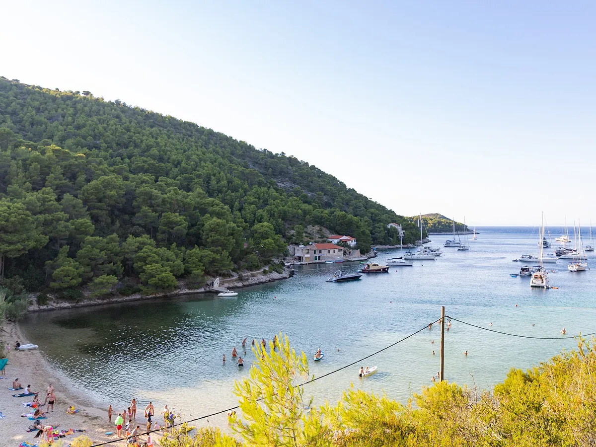 Yachts on mooring buoys in Stončica bay, with the beach and pine slope, seen from the hillside